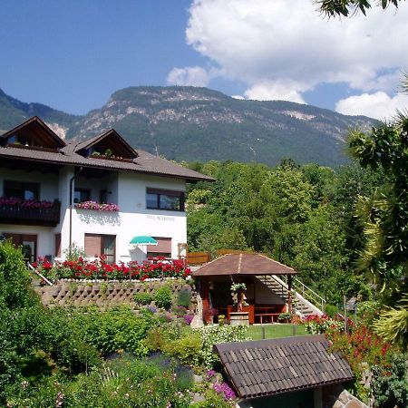 Haus Marion Apartment Appiano Sulla Strada Del Vino Exterior photo